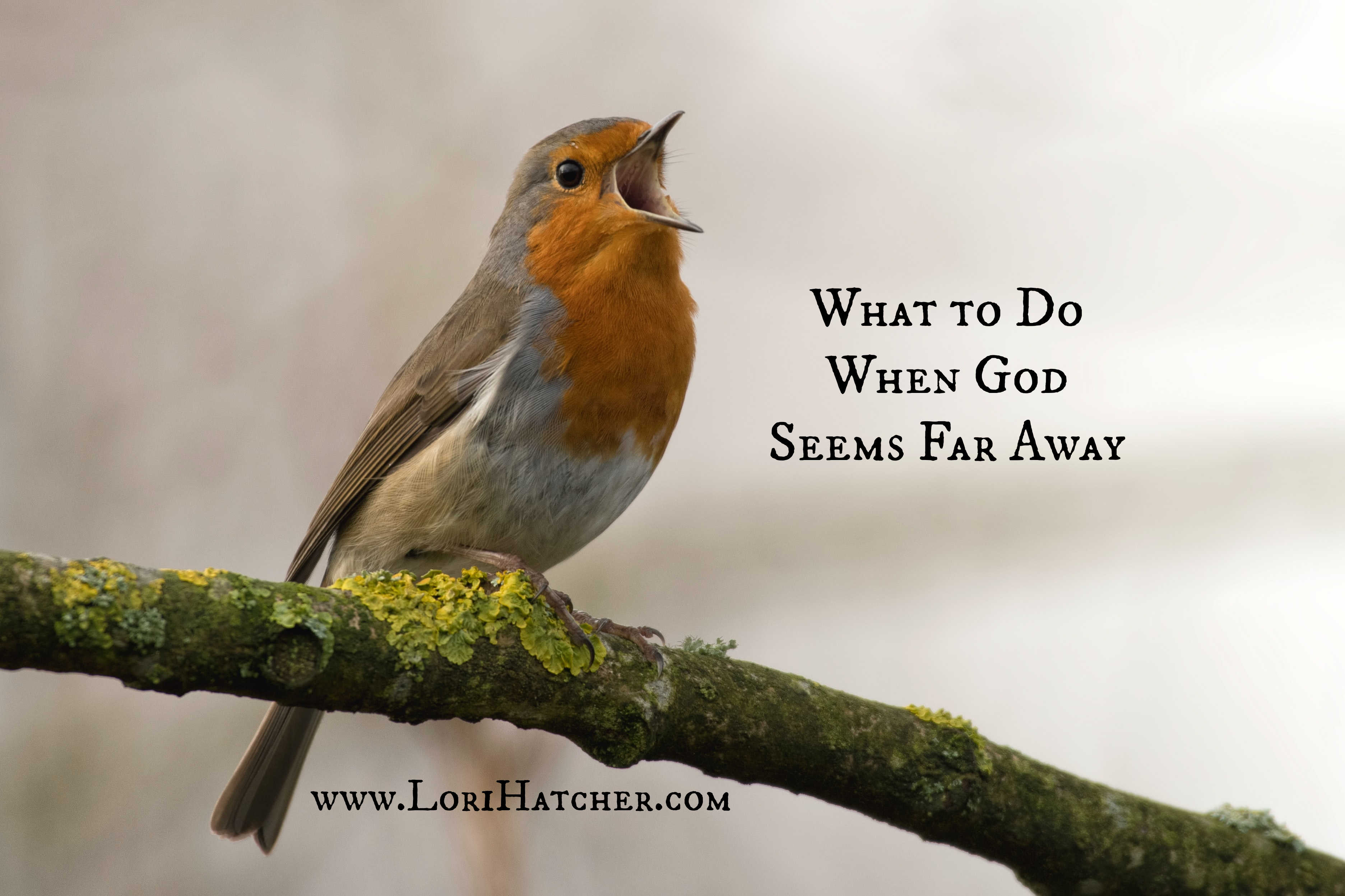 What to Do When God Feels Far Away – A Proven Strategy