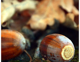 Do You Need to Pray the Hurried Person’s Prayer?