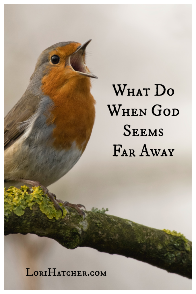 What to do when God seems far away
