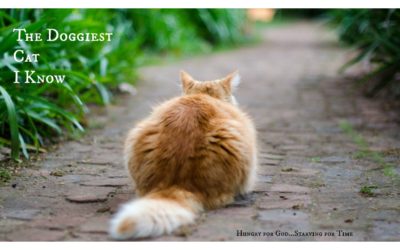 What We Can Learn from the Doggiest Cat I Know