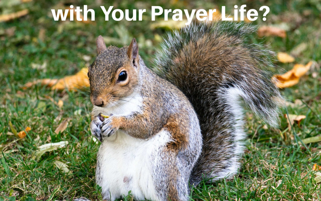 Do You Feel Frustrated with Your Prayer Life?