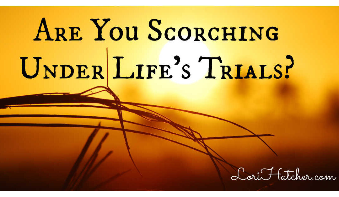 Are You Scorching Under One of Life’s Trials?