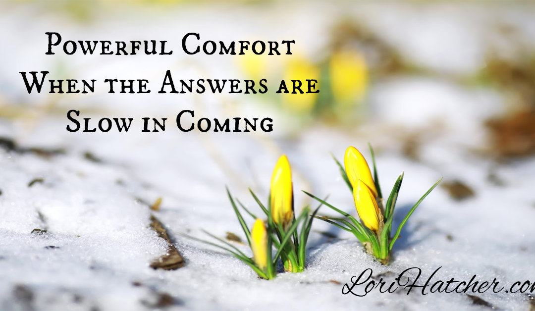 Powerful Comfort When the Answers Are Slow in Coming