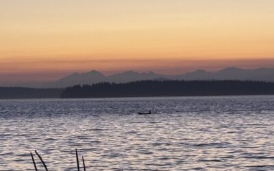 How Being Broken Is the First Step to Becoming Whole