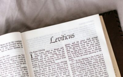 Are You Reading Leviticus? Here are Four Glorious Reasons Not to Skip It