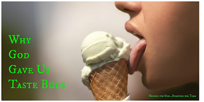 7,000 Tastebuds — Enjoying a Delicious Gift from God