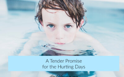 Do You Need a Tender Promise for the Hurting Days?